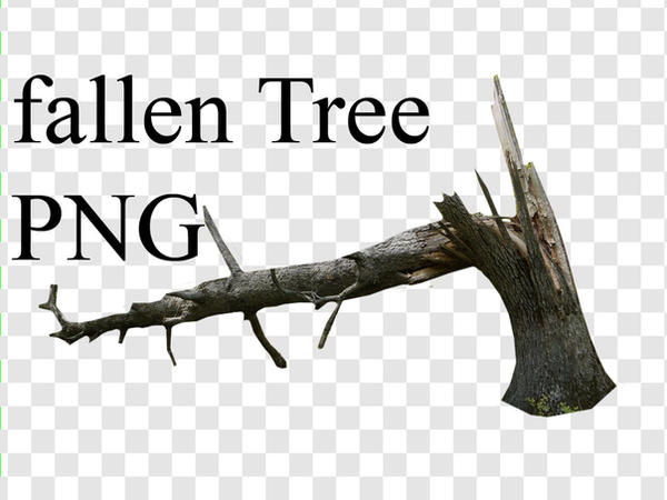 FALLEN TREE PNG by petermarge on DeviantArt