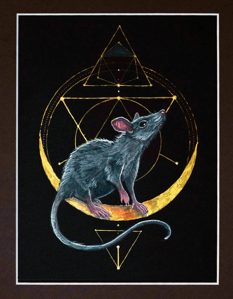 Rat Deviantart rat by Sayrel on DeviantArt