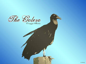 The Golero