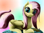 Beanbag Fluttershy by NixWorld