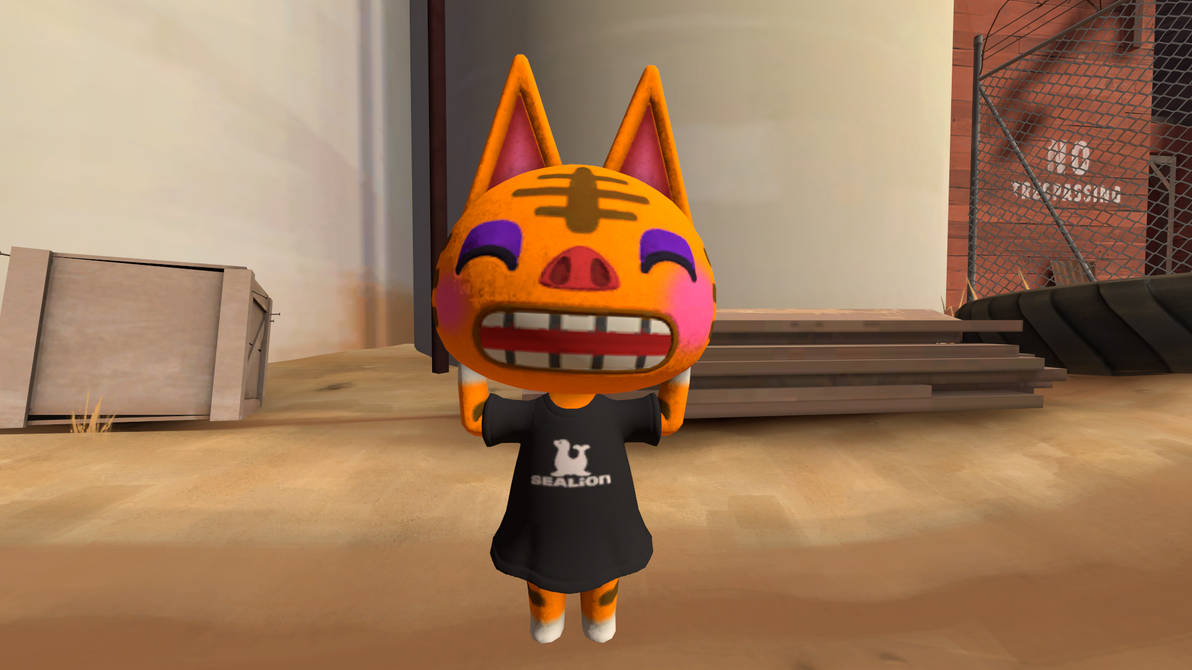 Rare Tabby Patterns For Custom Pet Clothing - Tabby cat care products My olympic tabby cat