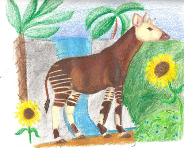 okapi by greendayperson on DeviantArt