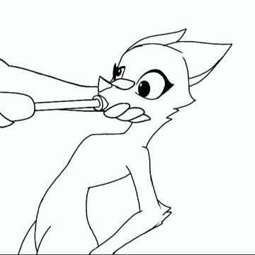 fox exploded by verderest on DeviantArt