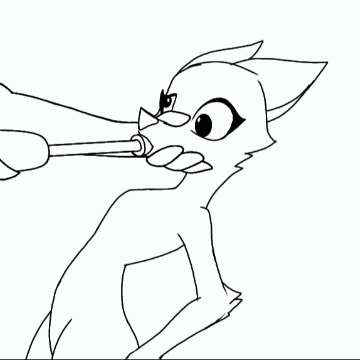 Fox Eploding fox exploded by verderest on DeviantArt