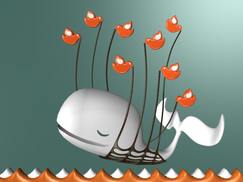 Fail Whale 3D