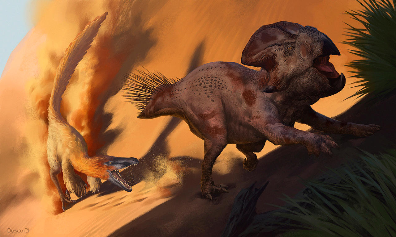 Velociraptor chasing Protoceratops