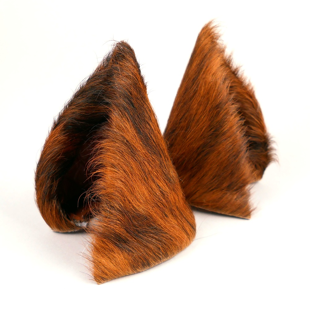 Brown Brindle Wolf Ears