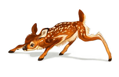 Fawn Painting