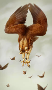 Osprey Griffon