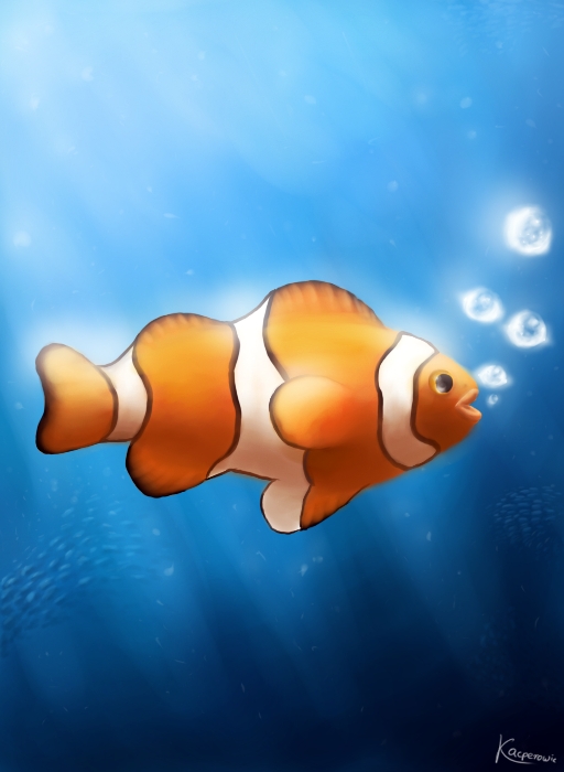 Clownfish