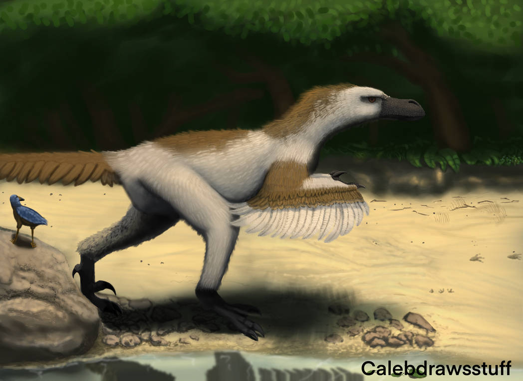 Floofy Utah Raptor Floofy velociraptor by Calebdrawsunlikegame on DeviantArt