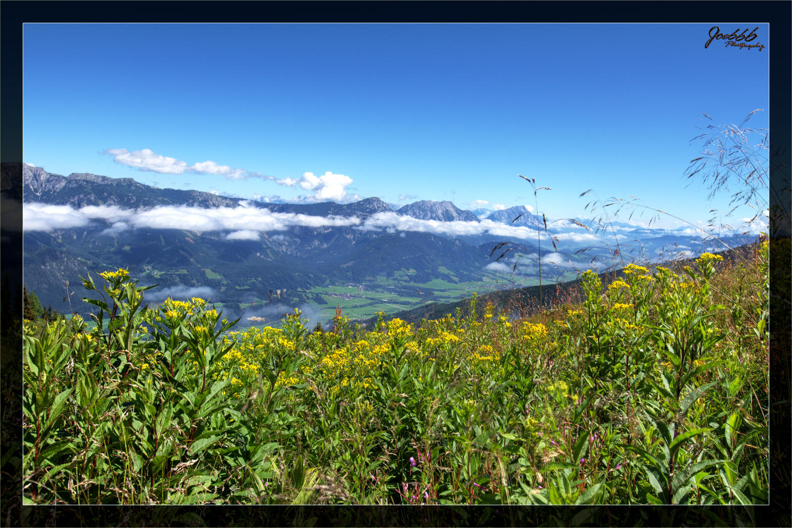 Planai with vegetation