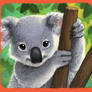 Content Koala