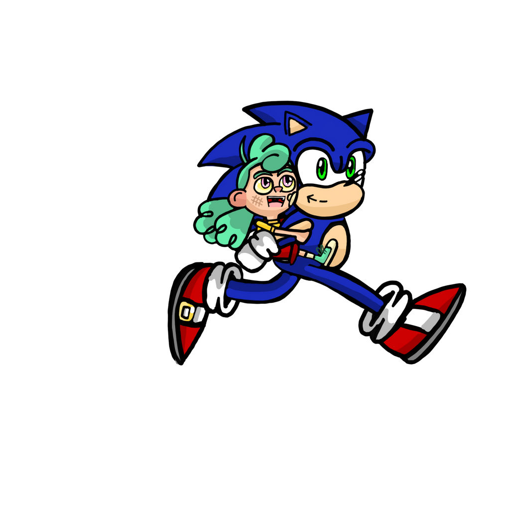 Sonic and Nikki by RobynHillZoneAct25 on DeviantArt