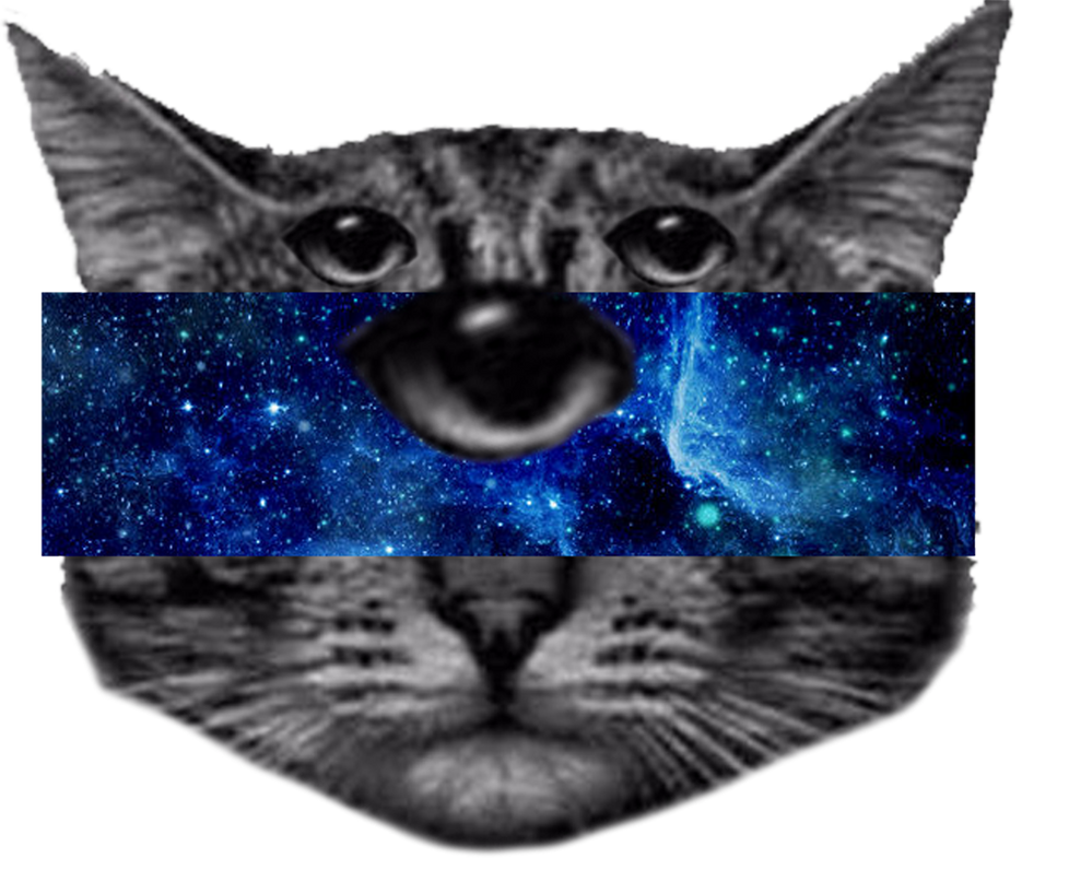 Alien cat three eyes by GARDENGNOMEZEZ on DeviantArt