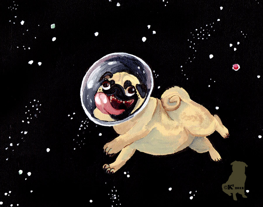 the pugstronaut