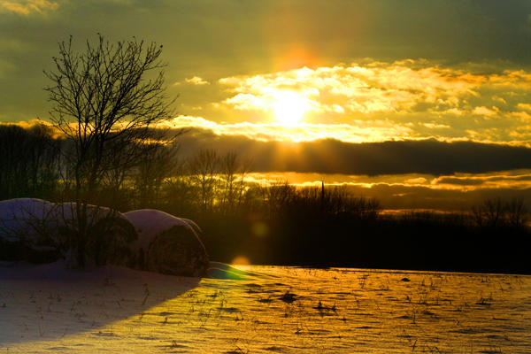 Field and Sun