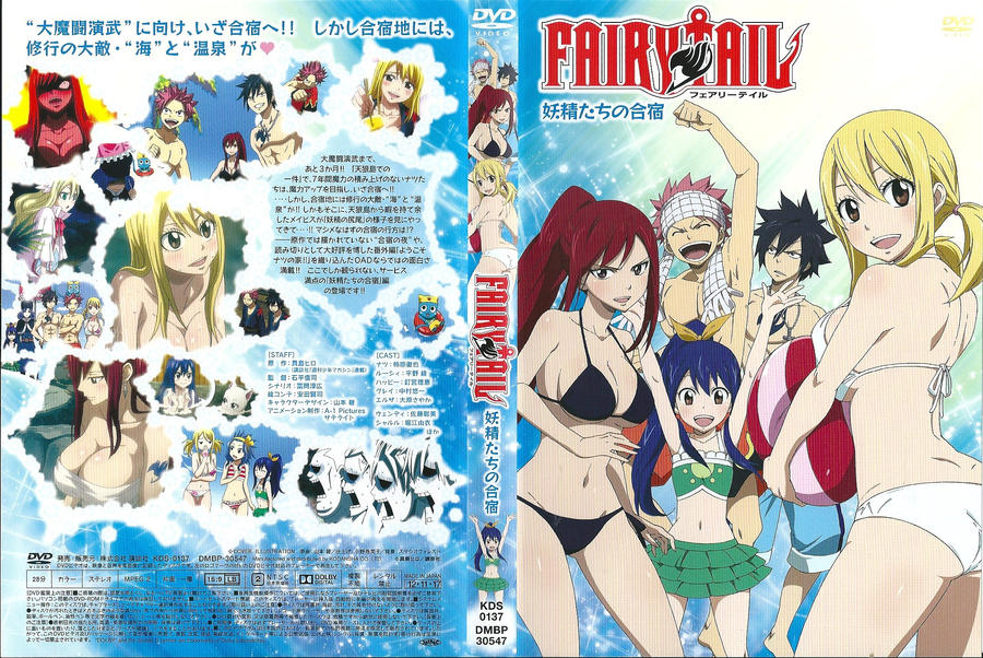 Fairy Tail OAV 4 DVD Cover
