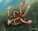 Turtle Backjaw by hongyek