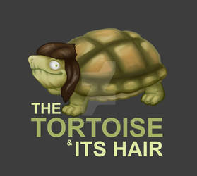 The Tortoise and its Hair