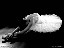 The Dying Swan