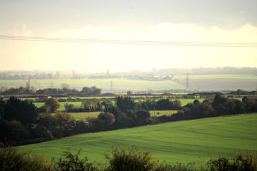 Fields of Green 2