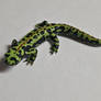 Marbled Newt figure 