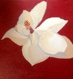 Magnolia