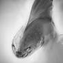Speed Stinger HTTYD art