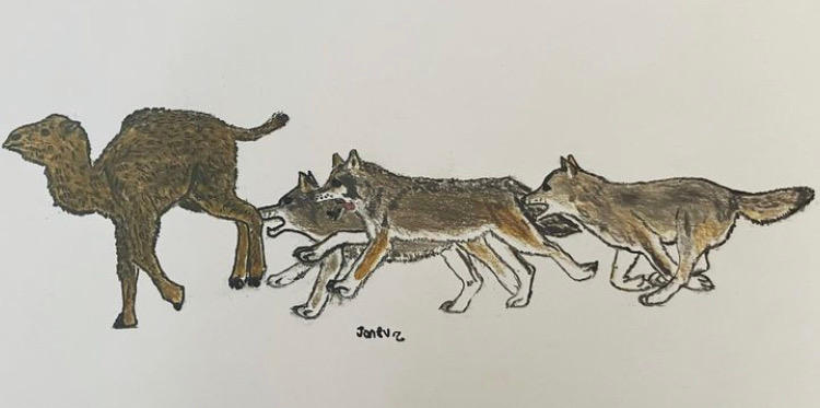 Red Wolves Hunting Camelops Calf by demonlemurz on DeviantArt