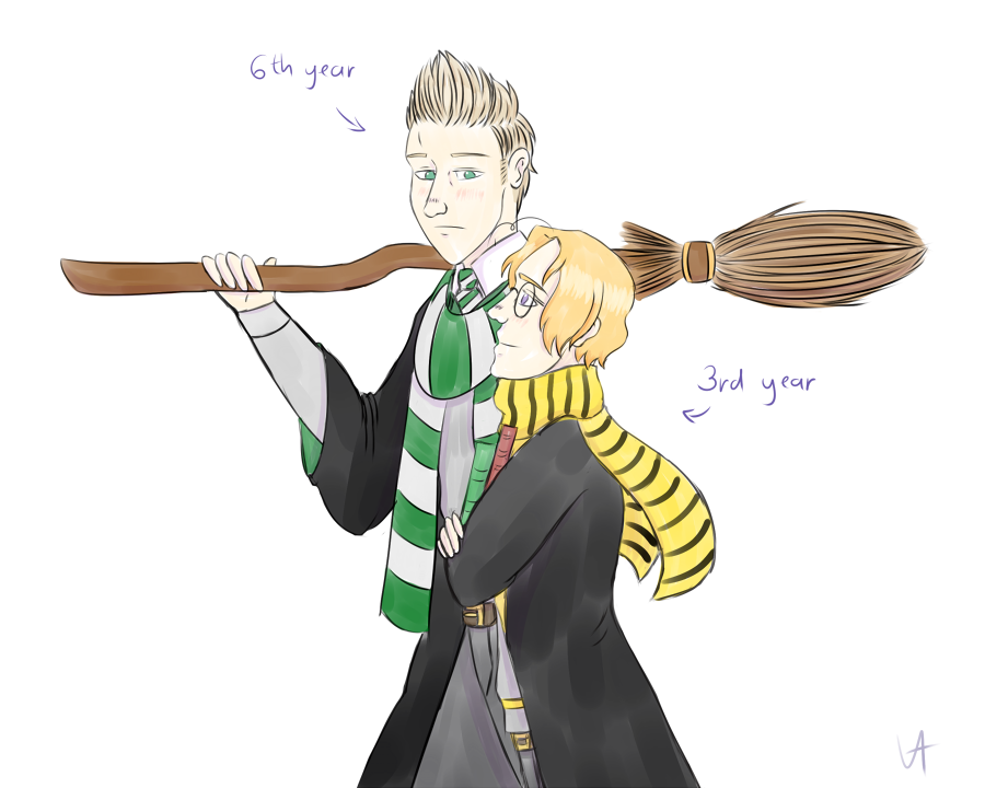 Hogwarts Boyfriends (houses explained!)