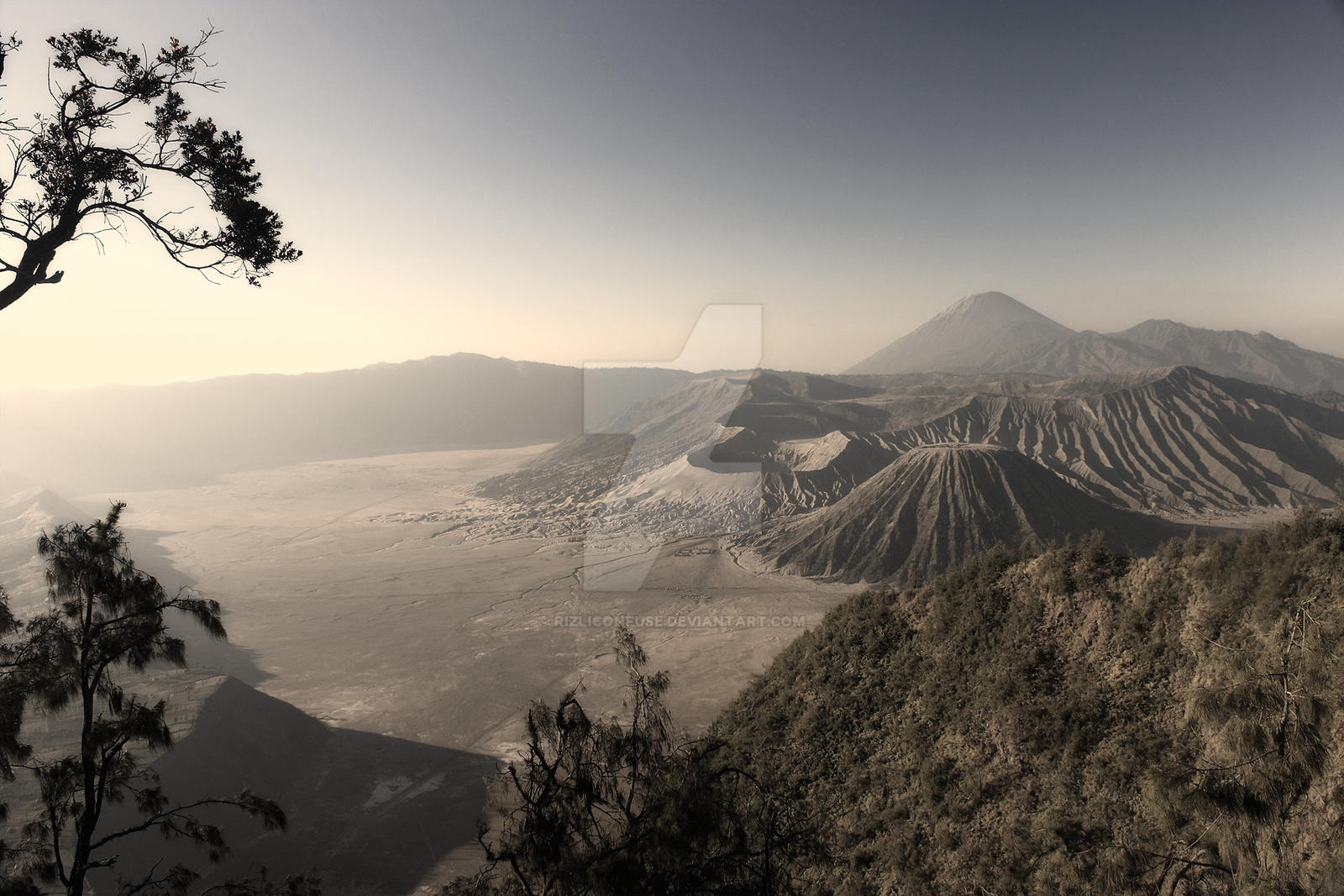 Bromo