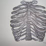 Ribcage