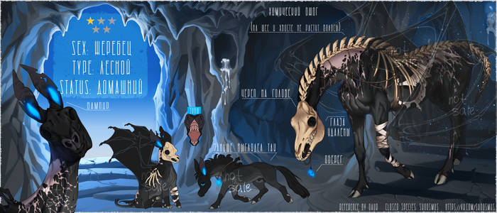 NamelessBird - Hobbyist, Digital Artist | DeviantArt