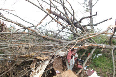 Al, Harvest: After Tornado