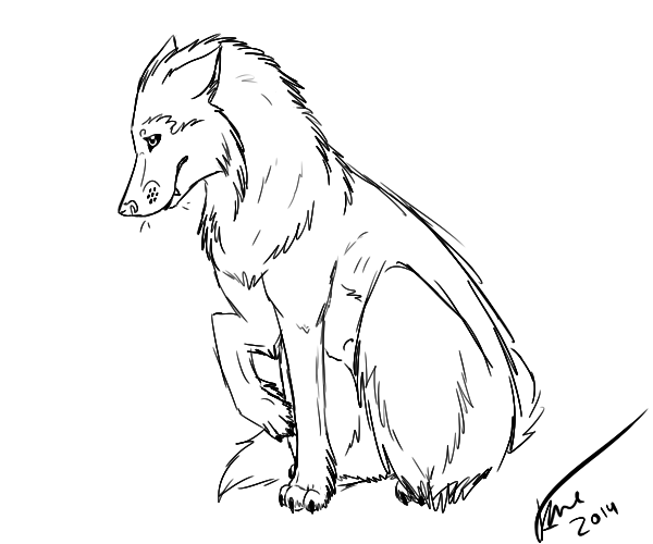 Wolf Sketch