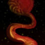 BLOOD WORM MOON