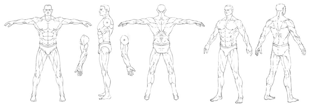 Athletic Male Turnaround Commission By NotMuchNormal On DeviantArt athletic-male-turnaround-commission-by-notmuchnormal-on-deviantart