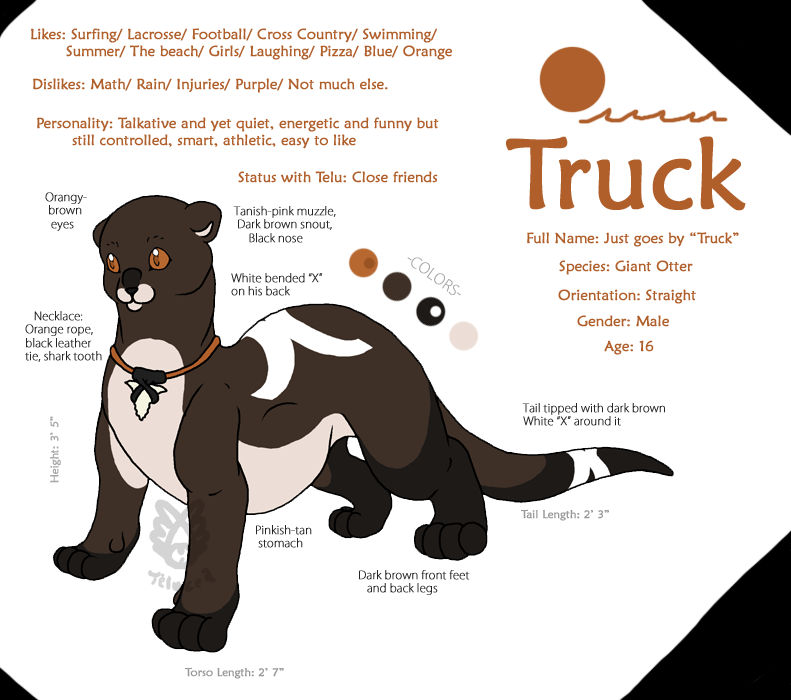 Trucker Reference Truck Reference by Telucea on DeviantArt