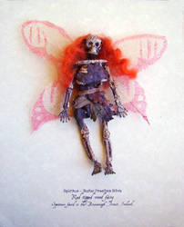 Mummified Red Tipped Wood Fairy