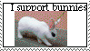 I support bunnies