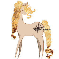 Coffee Pony Adoptable