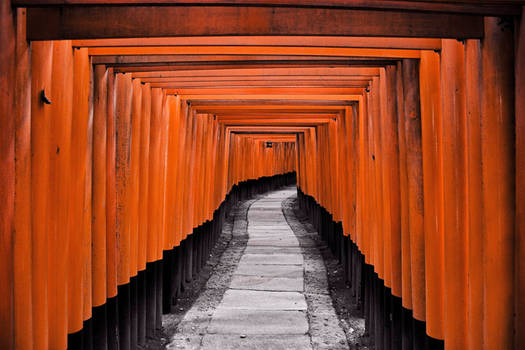 Torii