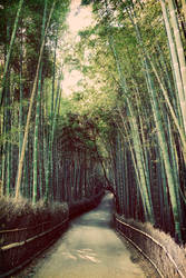 Arashiyama