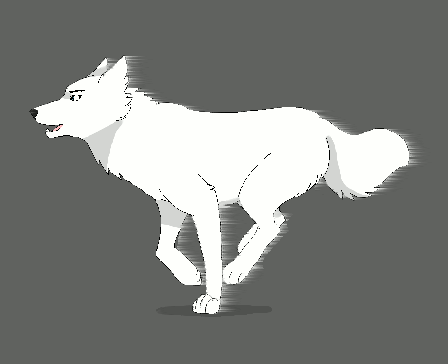 Wolf Run Animation by wolfinrahalify
