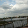 Epcot View