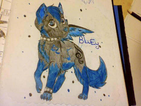 BLuEy as a puppy~