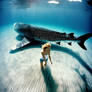 19 Nymphs of the Whale Sharks