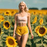 2 Sunflowers