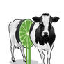 lime flavoured milk